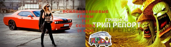 jwh Зеленокумск