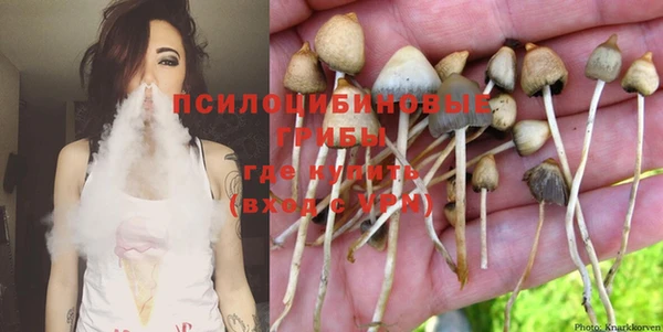 твердый Зерноград