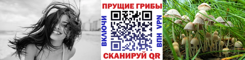 Галлюциногенные грибы GOLDEN TEACHER Полесск